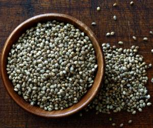 hemp-seed